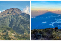 Gunung Sumbing: Keindahan Alam, Jalur Pendakian, dan Panduan Mendaki di Jawa Tengah