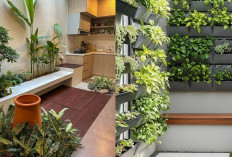 Inspirasi Taman Belakang Rumah Sederhana yang Tetap Terlihat Menawan!
