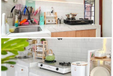 Panduan Memilih Rak Dapur Minimalis agar Hunian Mungil Tetap Rapi dan Stylish
