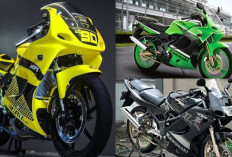 Bikin Pesaing Motor Sport Ketar-Ketir! Cek Performa Nyata Lini Kawasaki Ninja Terbaru