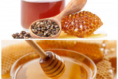 Propolis Lebah: Rahasia Alami untuk Meningkatkan Daya Tahan Tubuh!