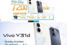 Punya Tampilan Premium, vivo Y31d Pro Diprediksi Ramai di Pasar Indonesia