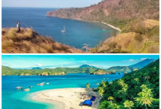 Surga Alam Sulawesi, Dari Taman Nasional hingga Pantai Cantik yang Belum Banyak Tersentuh