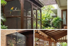 Teras Rumah dengan Pemandangan Kandang Burung: Inspirasi Sudut Santai yang Sejuk, Estetik, dan Penuh Kehidupan