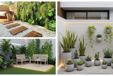 Taman Minimalis di Belakang Rumah: 7 Ide Asri dan Nyaman dengan Modal Rp 3 Juta di 2025
