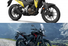 Honda CB150X Punya Rival Baru, Suzuki V-Strom 250SX 2026 Tawarkan Performa Lebih Besar