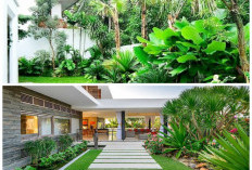 Rahasia Taman Bergaya Bali: Sentuhan Tropis untuk Hunian Lebih Mewah dan Sejuk