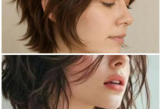 Siap Tampil Fresh! Ini 7 Model Rambut Wanita yang Akan Trending Bulan Ini, Wajib Dicoba