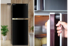 Review Lengkap Kulkas Polytron: Kelebihan, Kekurangan, dan Pertimbangan Sebelum Membeli