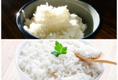 Tak Banyak yang Tahu! Nasi Dingin Punya Manfaat Tersembunyi untuk Mengontrol Gula Darah