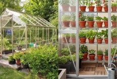 Ide Kebun Rumah Kaca Sederhana di Lahan Sempit, Tetap Produktif Meski Ruang Terbatas!