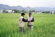 ATR/BPN Terapkan Antrean Terjadwal, Pengukuran Tanah Dipercepat