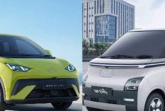 Perang Harga Mobil Listrik Murah! Wuling Air ev vs BYD Atto 1 Standard, Mana yang Paling Hemat?