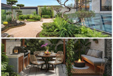 10 Inspirasi Desain Halaman Belakang Minimalis dan Fungsional Terbaik Tahun 2026