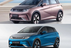 BYD Dolphin 2026 Gebrak Pasar Hatchback Listrik, Teknologi Pintar Harga Tetap Memikat