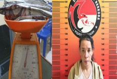 Wanita Ini Gagal Transaksi Narkoba, Polisi Amankan 7 Paket Ganja Siap Edar