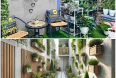 Trik Rahasia Menyulap Sudut Sempit Jadi Taman Estetik yang Bikin Rumah Adem