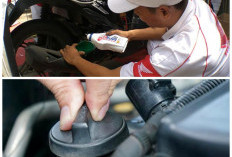 Wajib Tahu! Tips Mengenali Oli Original Agar Mesin Kendaraan Tetap Awet