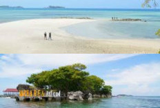  Tempat Wisata Sinjai: Menyelami Keindahan Alam dan Sejarah di Ujung Timur Sulawesi Selatan