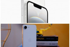 Makin Murah di 2026! Ini Alasan iPhone 16 Paling Dicari Lengkap dengan Harga dan Spesifikasi Terbaru