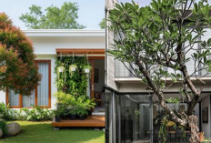 Inspirasi Rumah Lahan Terbatas dengan Teras Mini dan Pohon Rindang!