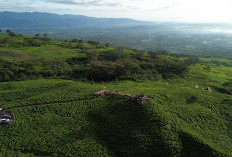 Kawasan Wisata Gunung Dempo Kembali Dibuka, Bersinergi Majukan Wisata Pagar Alam