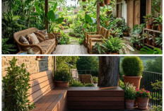 7 Ide Teras Asri ala Kampung: Perpaduan Pohon Teduh dan Kursi Kayu untuk Suasana Nyaman