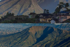 Sering Alami Hal Ganjil, Ini Cerita Mistis Pendaki Saat Melewati Jalur Purba Gunung Bismo!