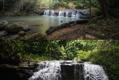 Gong Pew River: Sungai Jernih yang Jadi Destinasi Favorit Warga Kutai Kartanegara