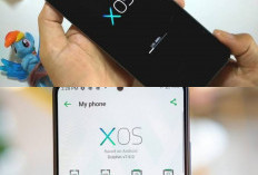 Panduan Lengkap Mengatasi Masalah Sistem Operasi XOS HP Infinix Agar Performa Kembali Stabil!