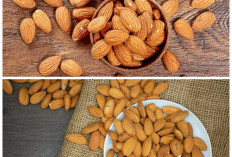 Rahasia Kacang Almond untuk Kesehatan, Camilan Sehat yang Bantu Menurunkan Berat Badan