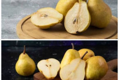 6 Manfaat Buah Pir Kuning untuk Kesehatan, Kaya Nutrisi dan Baik Dikonsumsi Setiap Hari