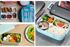 Bikin Bekal Makin Rapi: 8 Lunch Box Terbaik untuk Temani Aktivitas Harian