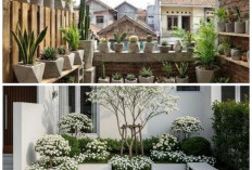 Tampil Tenang dan Modern, Ini 9 Desain Kebun Mini Gaya Korea untuk Hunian Minimalis