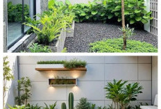 Inspirasi Taman Mini Indoor yang Estetik dan Sejuk, Bikin Rumah Terasa Lebih Hidup!
