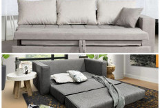 Mengenal Ragam Sofa Bed: Solusi Fungsional dengan Desain Stylish untuk Ruang Tamu