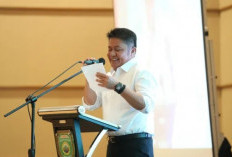 Atasi Gangguan Usaha Perkebunan Sawit, Gubernur Sumsel Tekankan Penguatan Mitigasi Dan Penegakan Hukum 