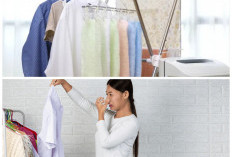 Tak Perlu Sinar Matahari! Cara Ampuh Mengeringkan Baju Agar Tetap Kering dan Tidak Apek