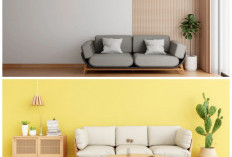 Tren Warna Cat 2026: Perpaduan Nuansa Hangat dan Netral untuk Hunian Lebih Nyaman