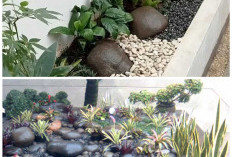 Inspirasi Taman Batu Kali: 5 Desain Sederhana yang Membuat Rumah Minimalis dan Tropis Lebih Segar