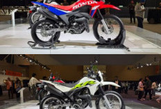 Lebih Gagah dan Berkarakter, Inilah Honda XR300 Rally Versi Vrindavan Pengganti CRF Rally