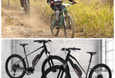 Hobi Sehat Tanpa Pegal! Ini Pilihan Sepeda Paling Nyaman untuk Pria Dewasa 2026