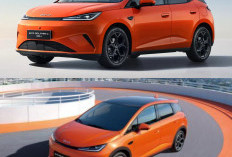BYD Dolphin G DM-i Resmi Hadir: Versi PHEV dari Dolphin dengan Harga Mulai Rp 600 Jutaan