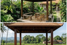 Budget Minim Bukan Masalah: 3 Desain Pendopo Kayu Sederhana yang Estetik untuk Tempat Santai Keluarga