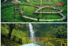 Pesona Wisata Purbalingga yang Wajib Dikunjungi, Panorama Alamnya Bikin Liburan Makin Berkesan!