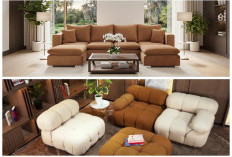 5 Keunggulan Sofa Modular Ukuran Besar: Solusi Furnitur Fungsional untuk Ruangan Berkonsep Open Plan