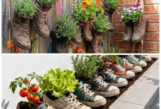 Unik dan Eco-Friendly! 12 Inspirasi Kebun Sayur dari Sepatu Bekas untuk Teras Rumah Minimali