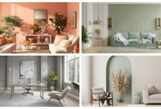 Tren Cat Rumah 2026: 17 Pilihan Warna Minimalis yang Stylish dan Tak Pernah Membosankan