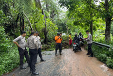 Longsor Tutup Akses Wisata Gunung Dempo, Arus  Lalin Sempat Lumpuh Total