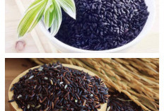 10 Manfaat Beras Hitam untuk Kesehatan serta Cara Mengolahnya dengan Benar